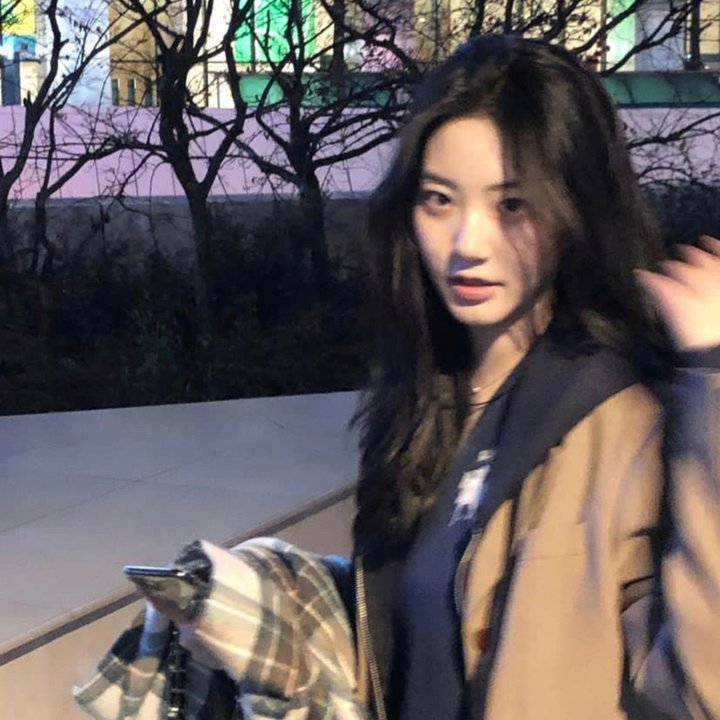 呆呆计划